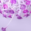 Lavender Poppies Hand Blown Glass Chandelier - Blown Glass Collective